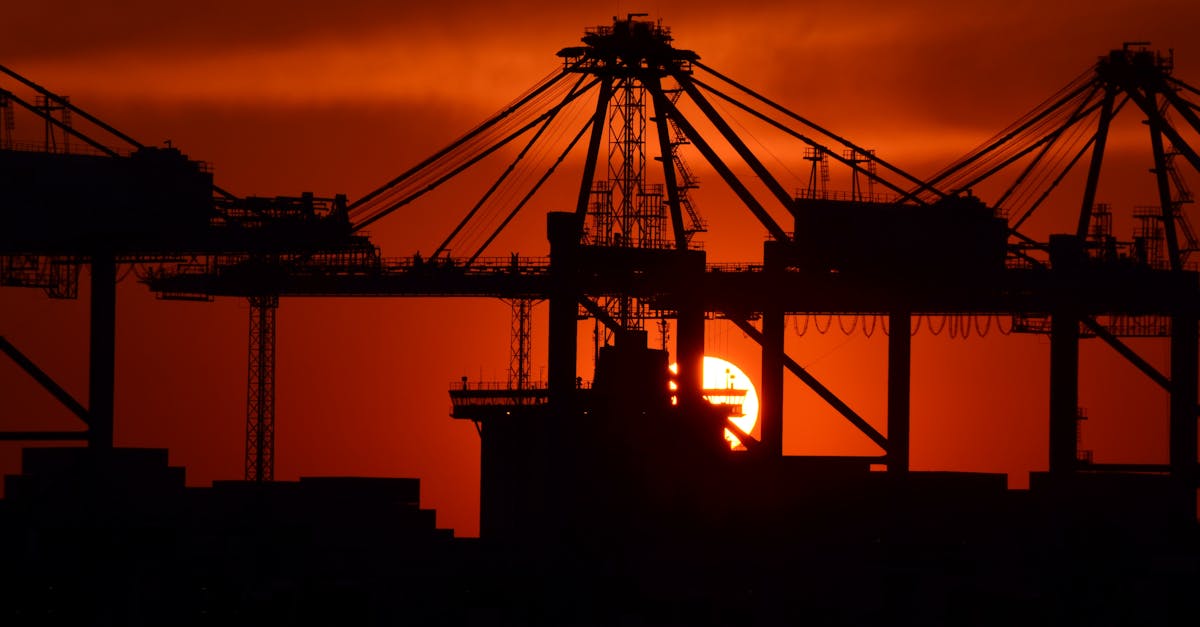 Bardwell Valley, New South Wales